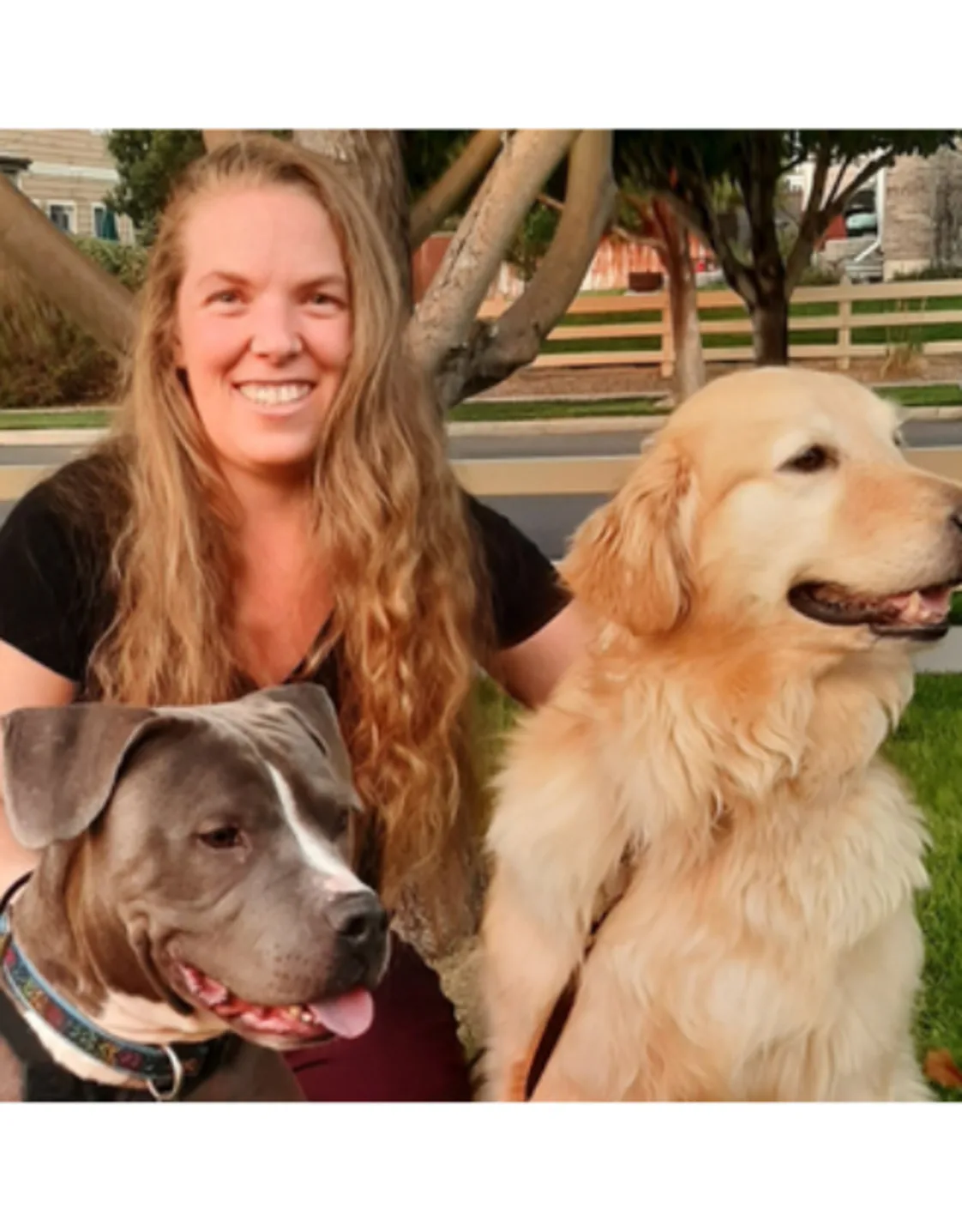 Dr. Brittany Senecal Dr. Brittany Senecal