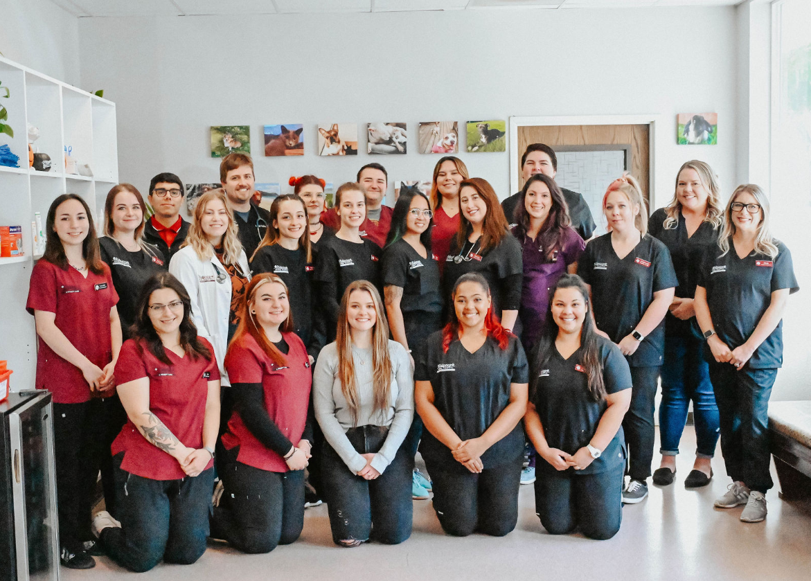 Ridgetop Animal Hospital staff group photo 
