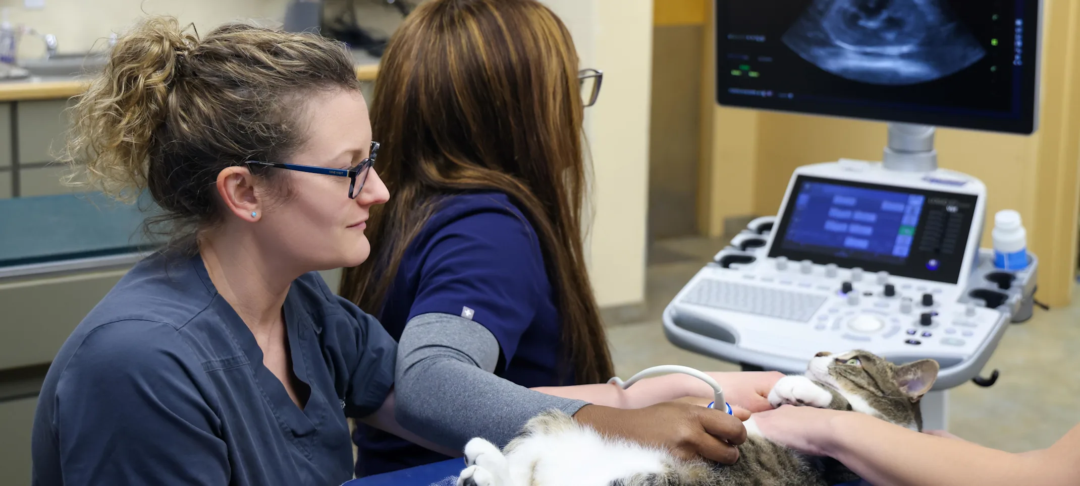 Diagnostic Ultrasound Diagnostic Ultrasound