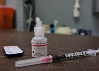 Syringe at Best Friends Animal Hospital