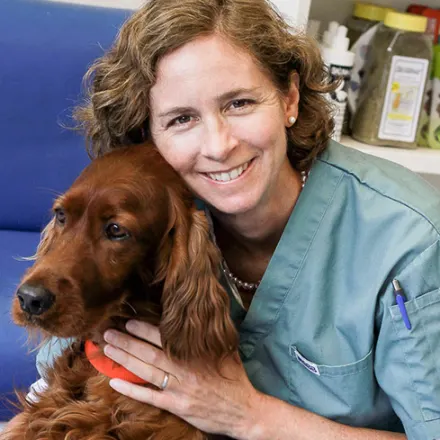 Dr. Ann Swarney at Blue Cross Animal Hospital