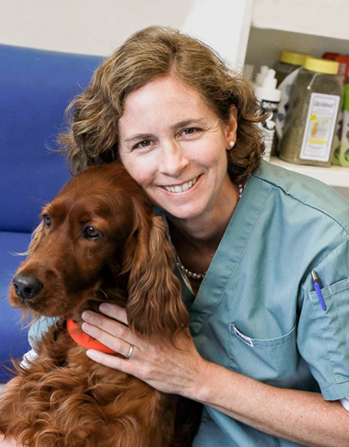 Dr. Ann Swarney at Blue Cross Animal Hospital Dr. Ann Swarney at Blue Cross Animal Hospital