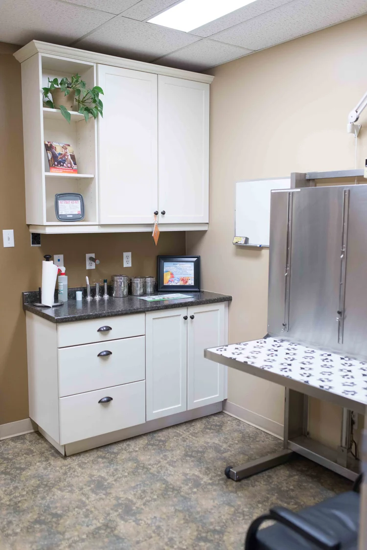 Examination Room and Supplies