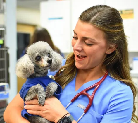 Animal Medical Center of Hattiesburg staff holding small dog.