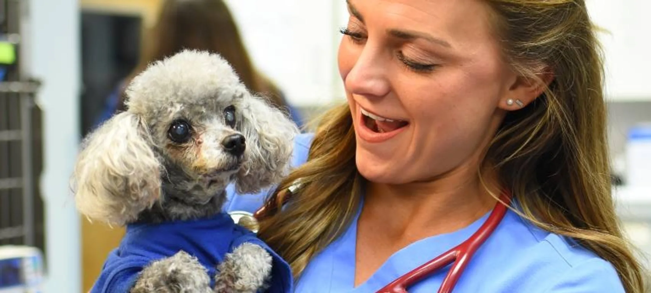 Animal Medical Center of Hattiesburg staff holding small dog.