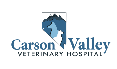 Carson Valley veterinary Hospital-HeaderLogo