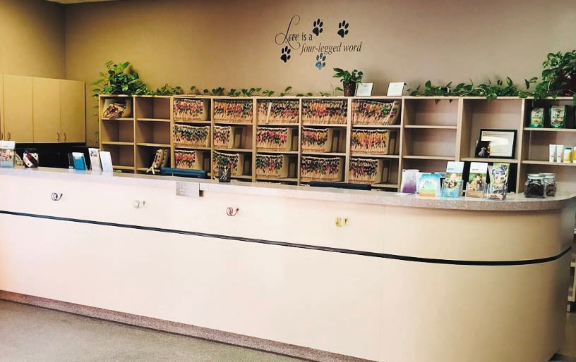 Lobby at Stonecrest Animal Hospital