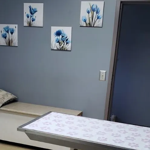 Lake Chatuge Animal Hospital Pet Examination Lake Chatuge Animal Hospital Pet Examination