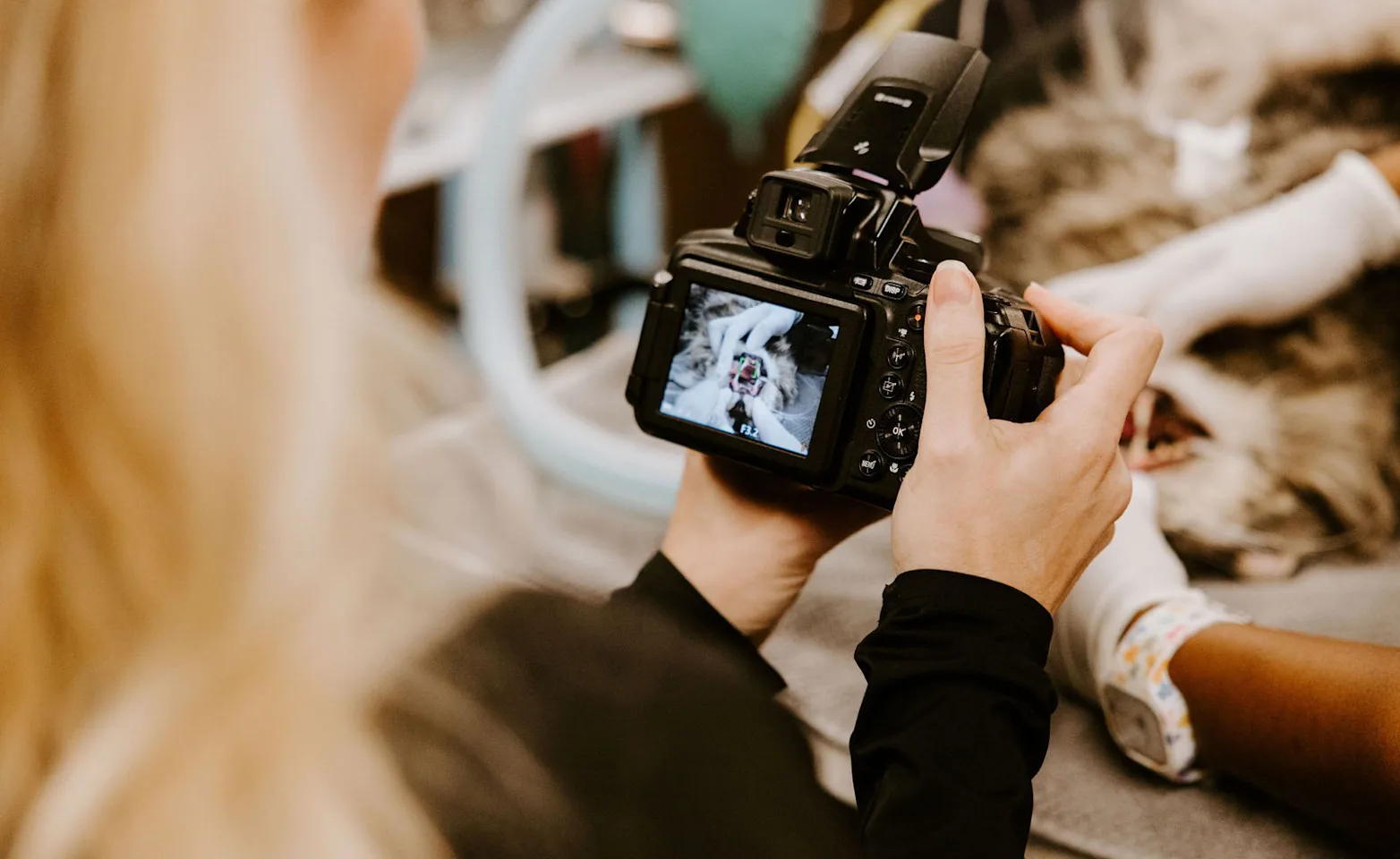 Staff taking a photo of an x-ray. Staff taking a photo of an x-ray.