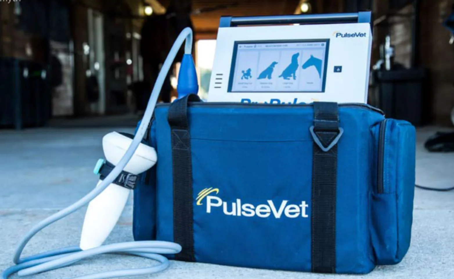 PulseVet Shock Wave System PulseVet Shock Wave System