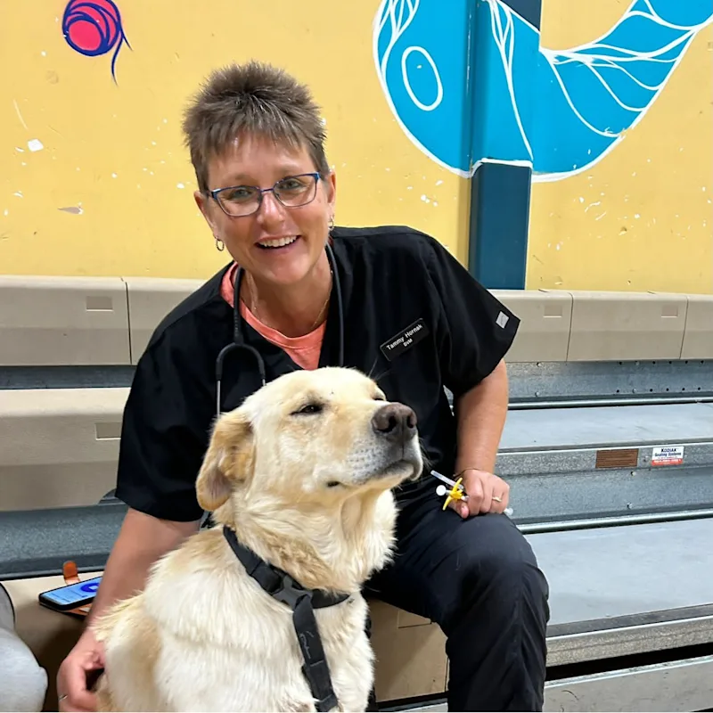Dr. Tammy Hornak Sitting on their desk Dr. Tammy Hornak Sitting on their desk