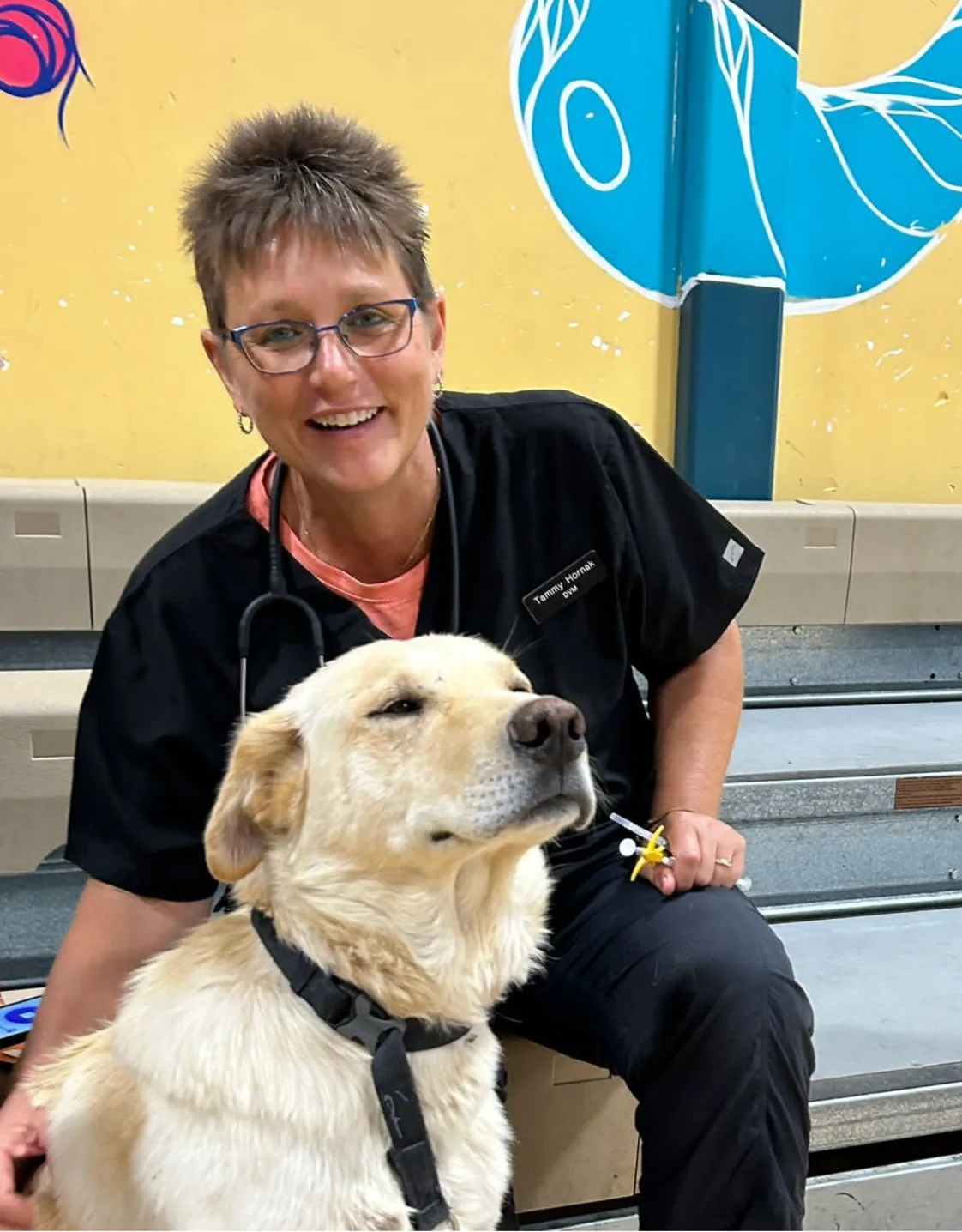 Dr. Tammy Hornak Sitting on their desk Dr. Tammy Hornak Sitting on their desk