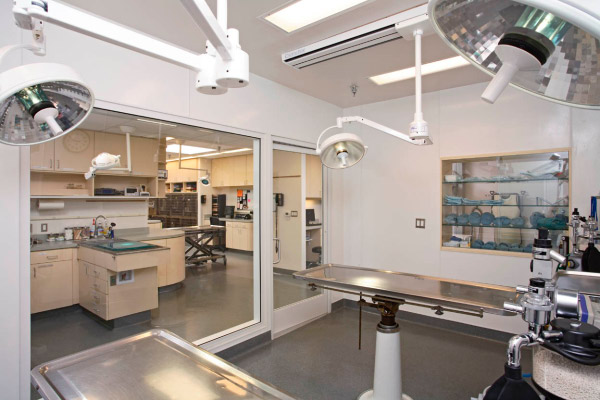 Park Centre Animal Hospital Surgical Area