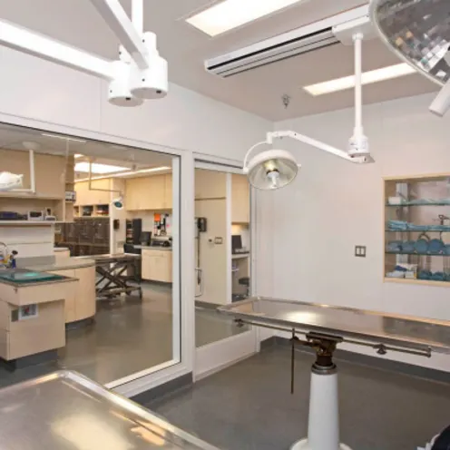Park Centre Animal Hospital Surgical Area Park Centre Animal Hospital Surgical Area