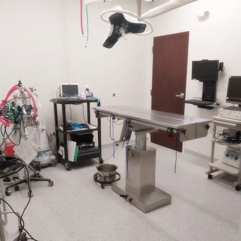 Surgical area 1 Surgical area 1