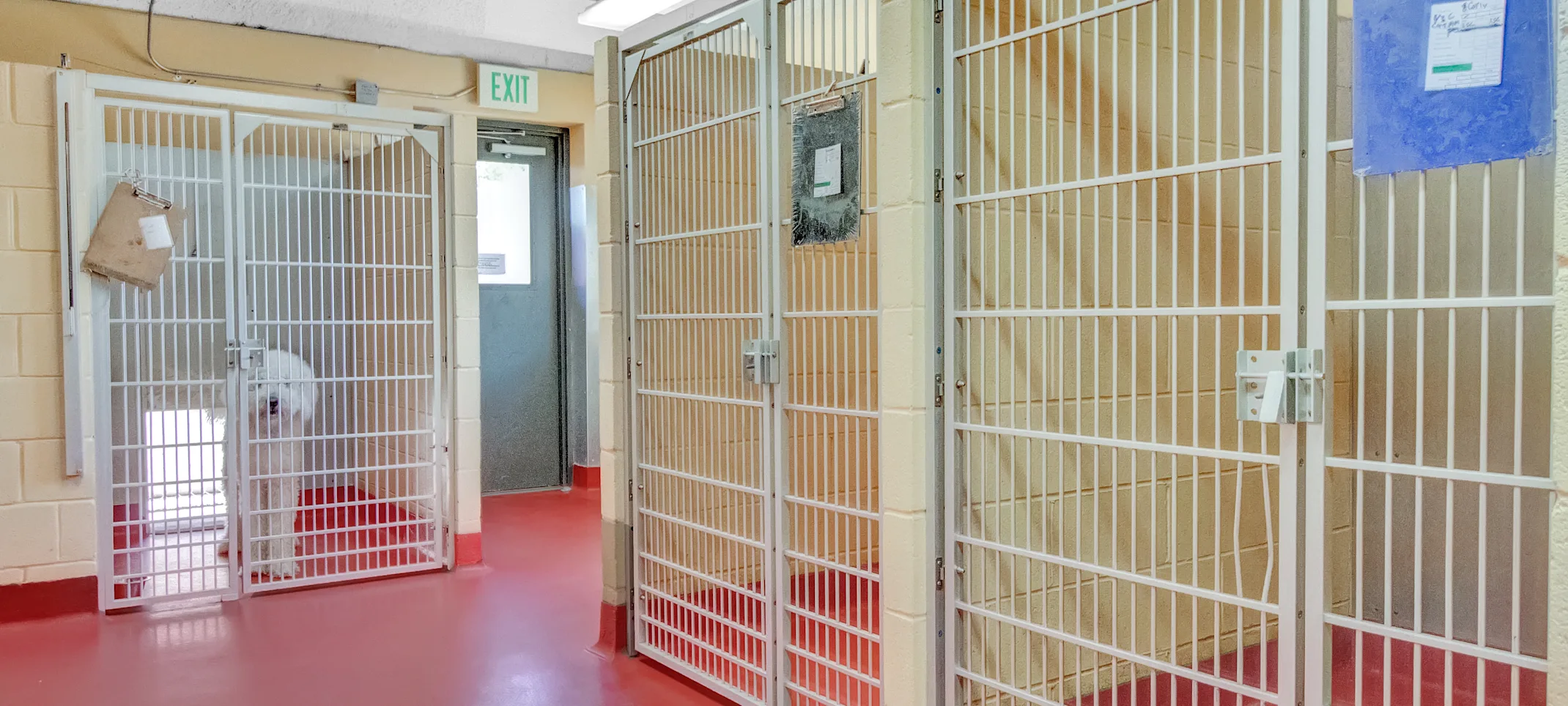 Additional boarding rooms for dogs Additional boarding rooms for dogs