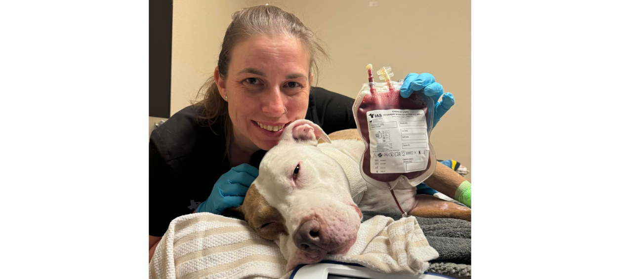 Staff with dog post blood draw