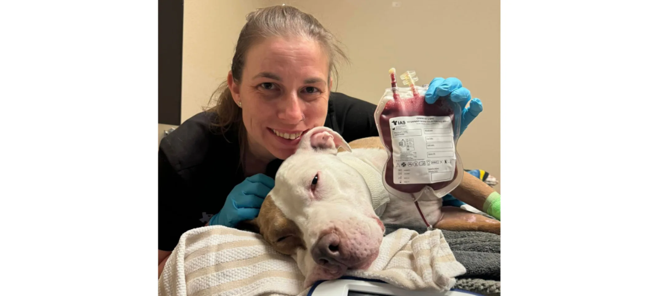 Staff with dog post blood draw Staff with dog post blood draw