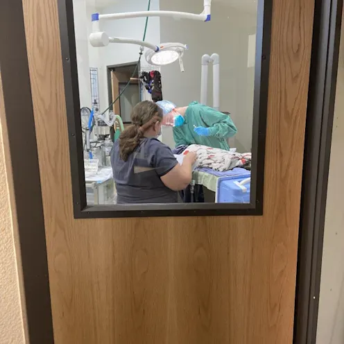 looking through a door's window at The Ark Veterinary Clinic looking through a door's window at The Ark Veterinary Clinic