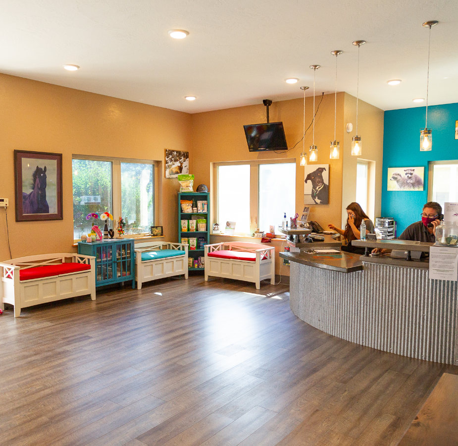Two staff members working at the reception desk