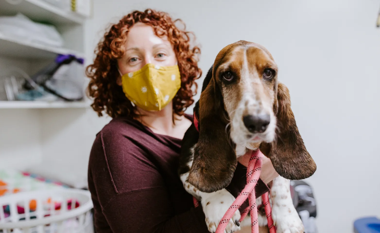 Veterinarian with yellow mask holding a dog
