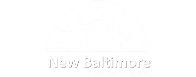 New Baltimore Animal Hospital Logo New Baltimore Animal Hospital Logo