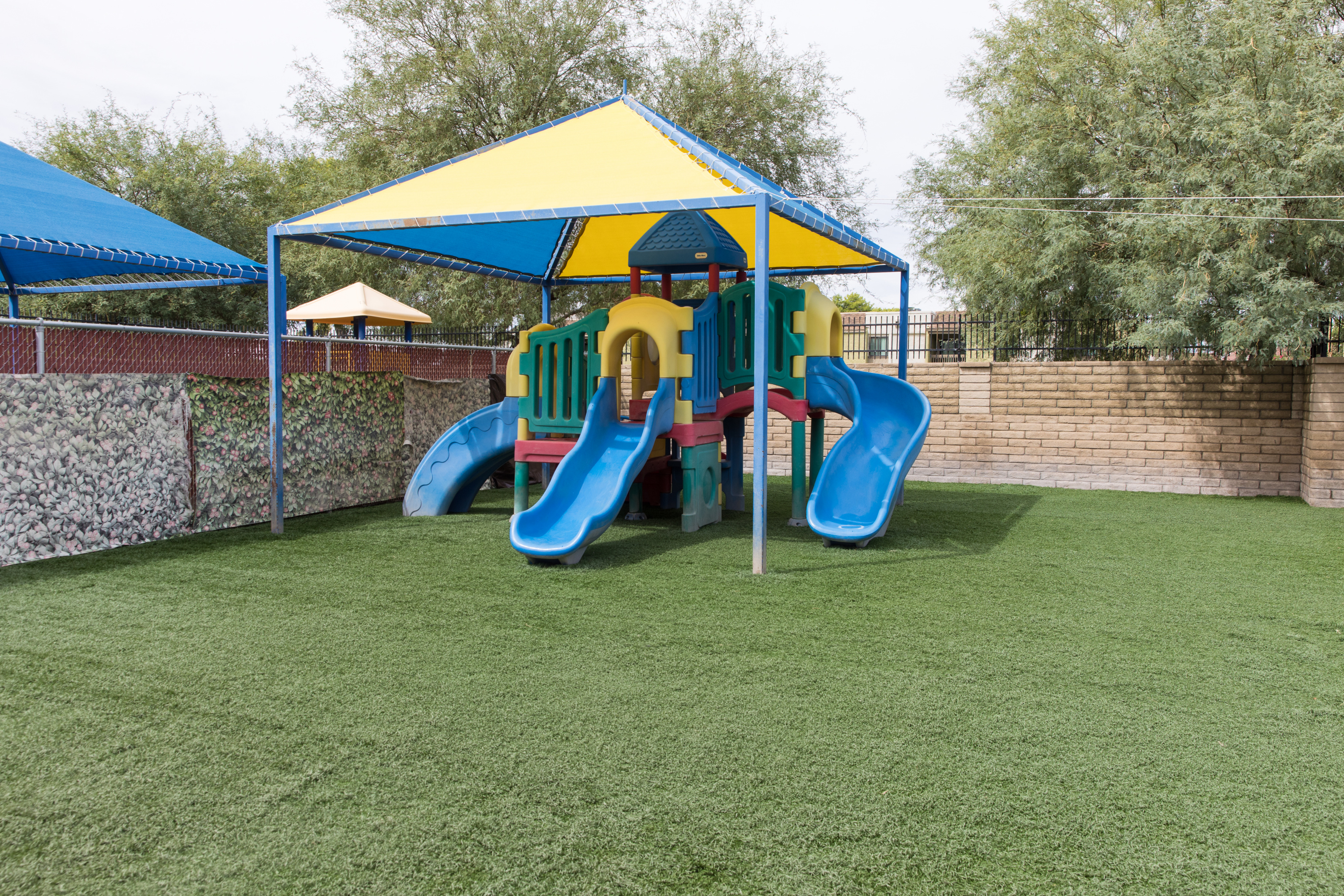 Doggie District - Paradise Valley - Outdoor Slide