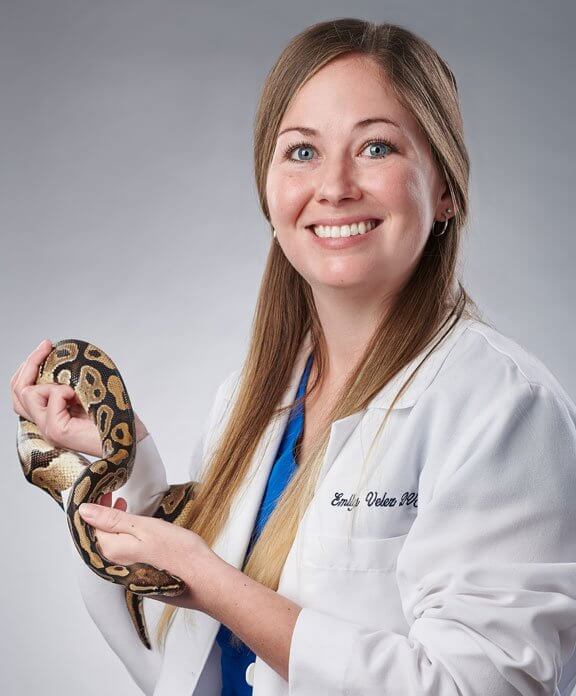 Dr. Emily Velez, DVM, Exotics Specialist