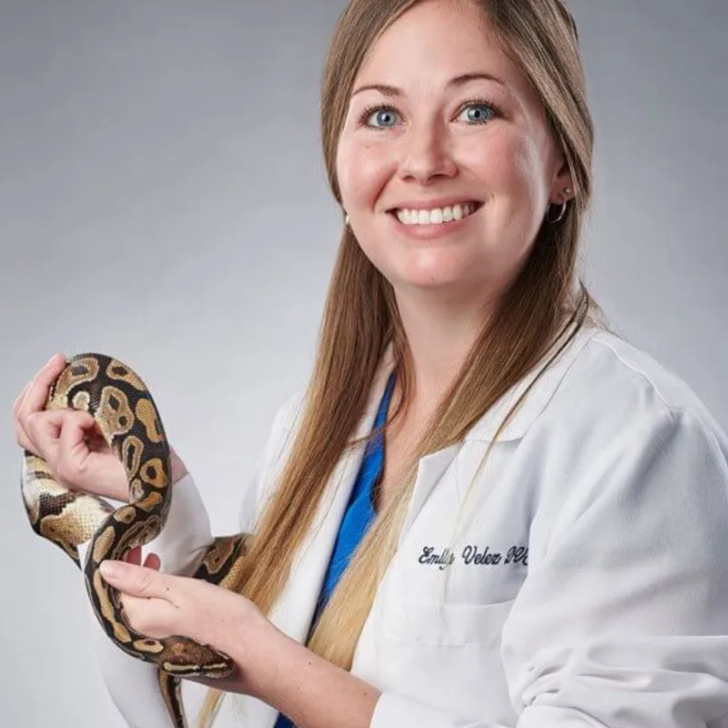 Dr. Emily Velez, DVM, Exotics Specialist Dr. Emily Velez, DVM, Exotics Specialist