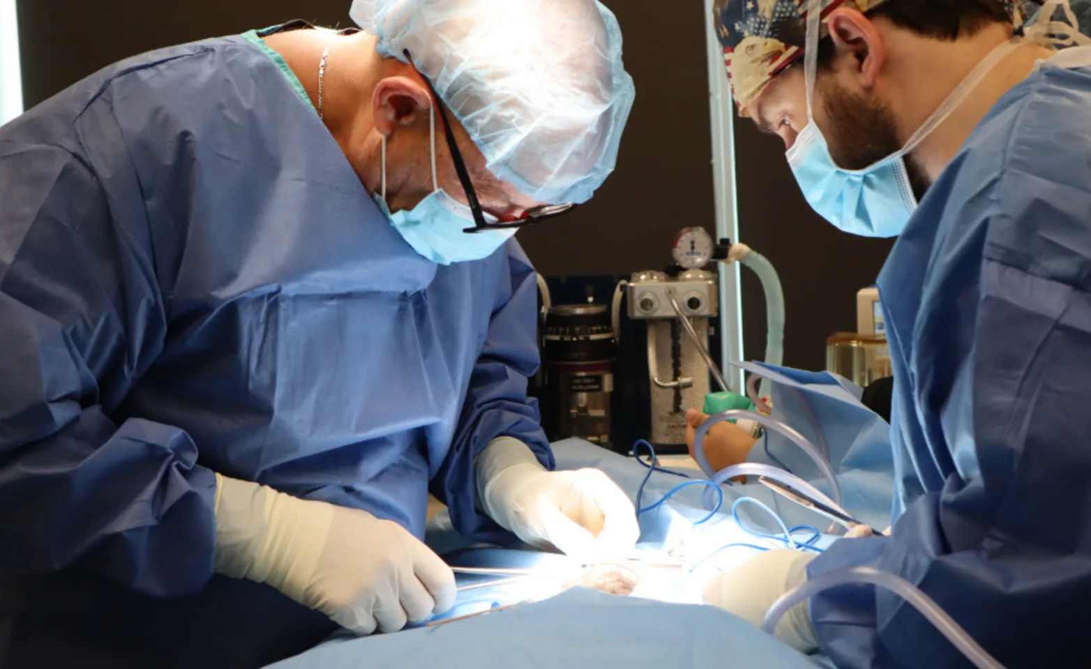 Veterinarians Performing Surgical Operation Veterinarians Performing Surgical Operation