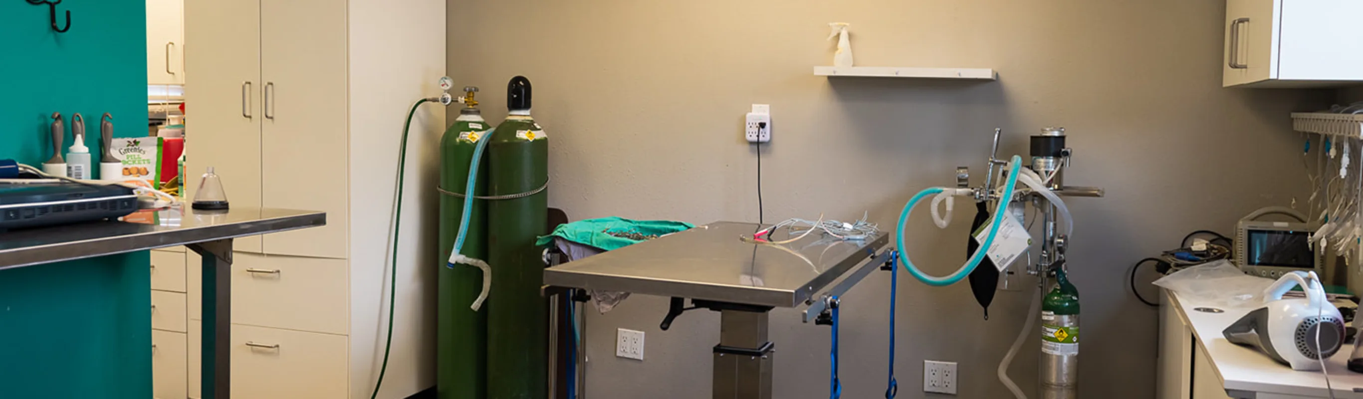 Operating Room and table with sink at The Valley Veterinary Hospital 