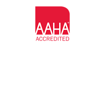 AAHA Footer Logo AAHA Footer Logo