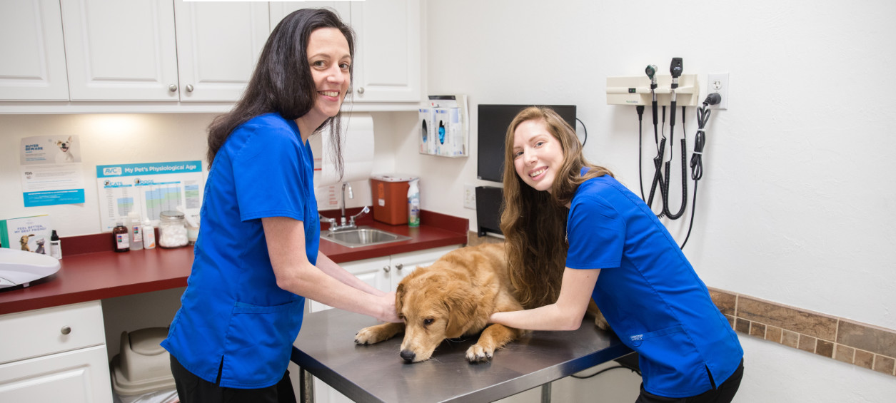 Mission hills sale veterinary clinic