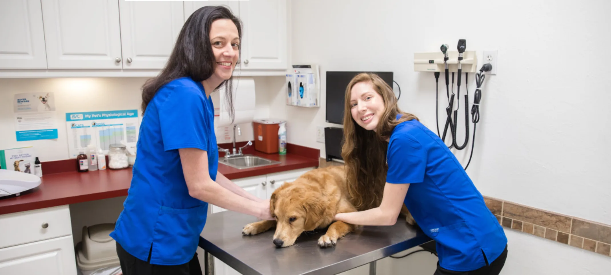 Two staff members with a brown dog at The Animalife Veterinary Center at Mission Hills Two staff members with a brown dog at The Animalife Veterinary Center at Mission Hills