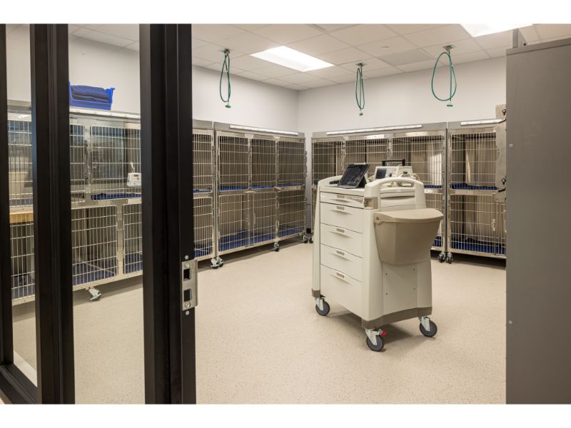 Recovery kennel room 3