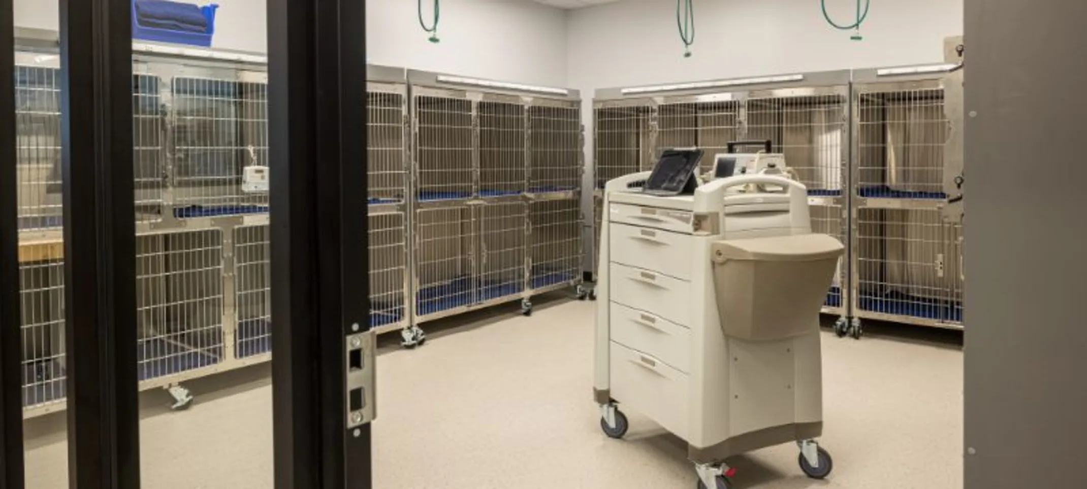 Recovery kennel room 3 Recovery kennel room 3