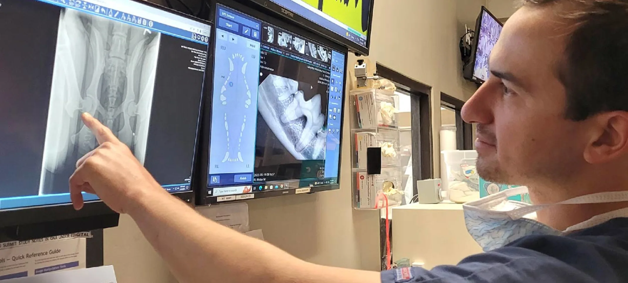 Staff reviewing Pennhip radiographs Staff reviewing Pennhip radiographs