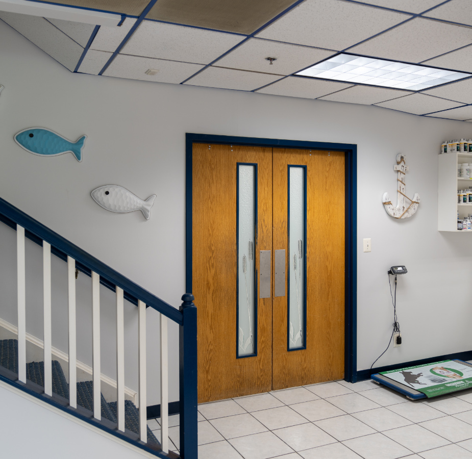 Medical exam room entrance