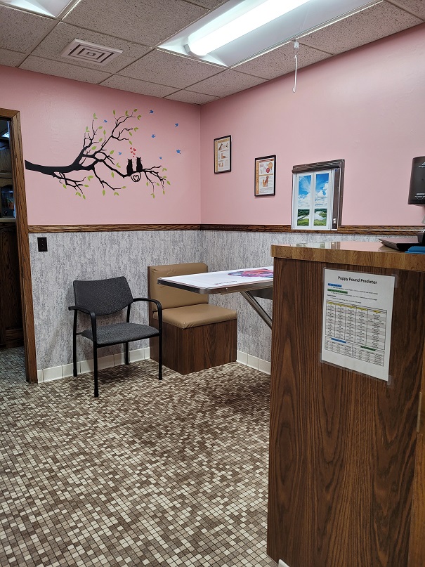 Kimberly Pines Veterinary Hospital Exam Room