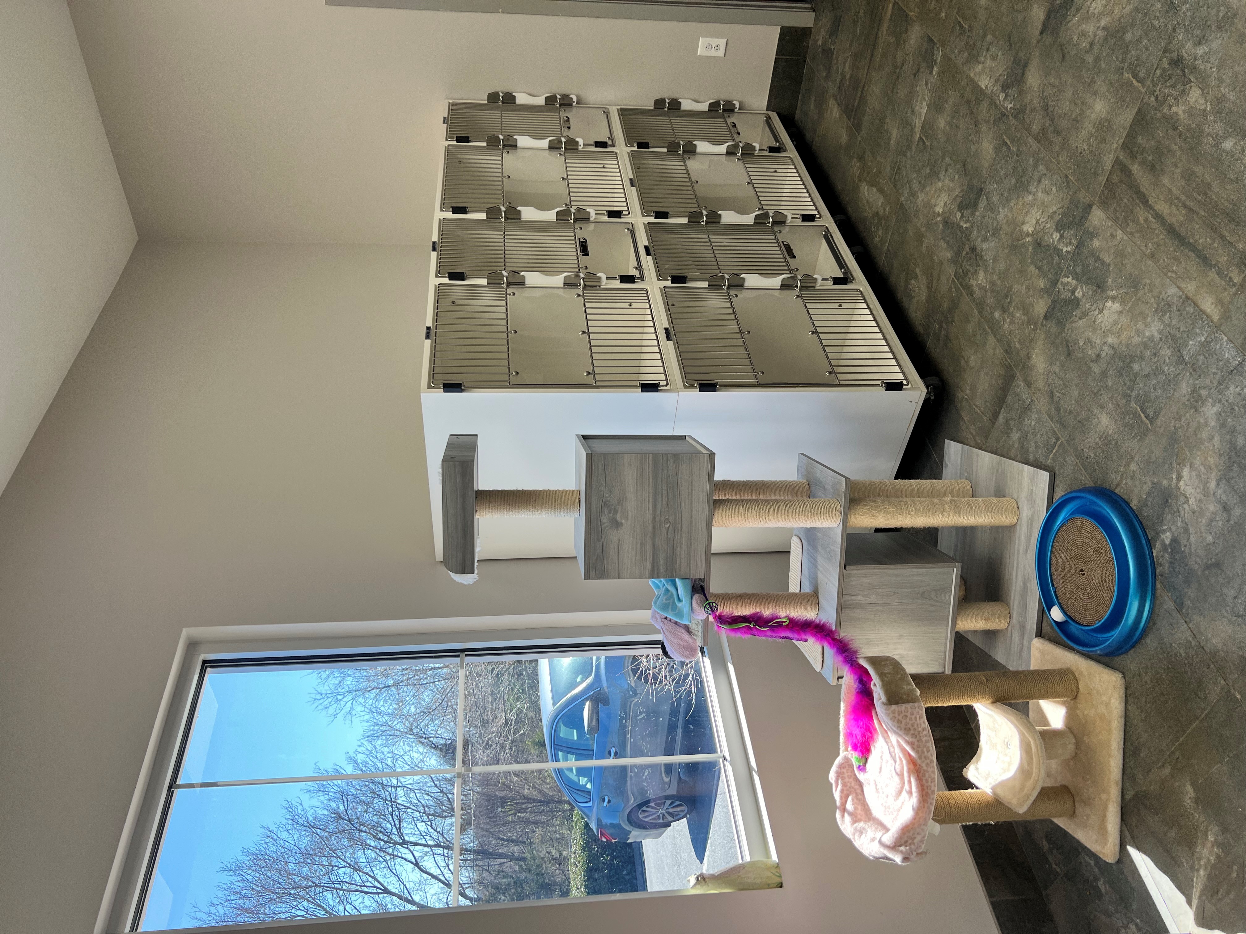 Left side of cat room