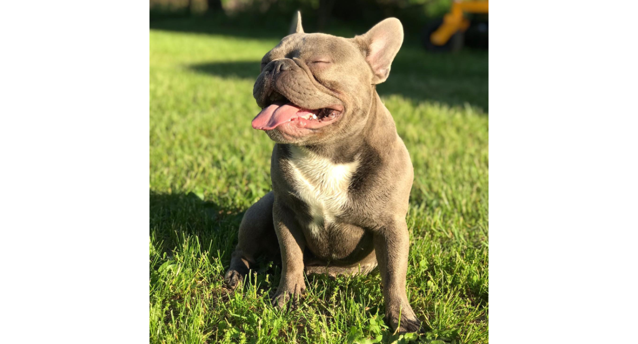 Saving Norman's Sight