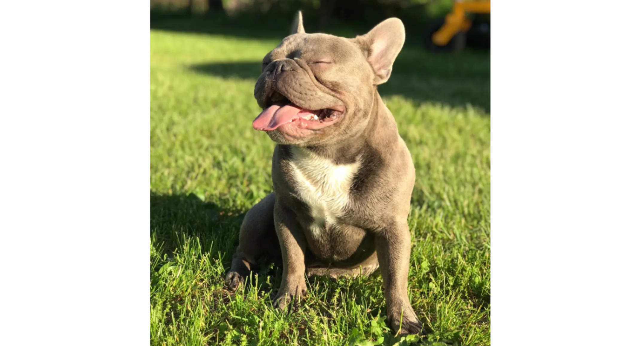 Saving Norman's Sight Saving Norman's Sight