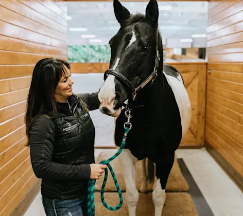 Evergreen Equine doctor with a horse in a barn. Evergreen Equine doctor with a horse in a barn.