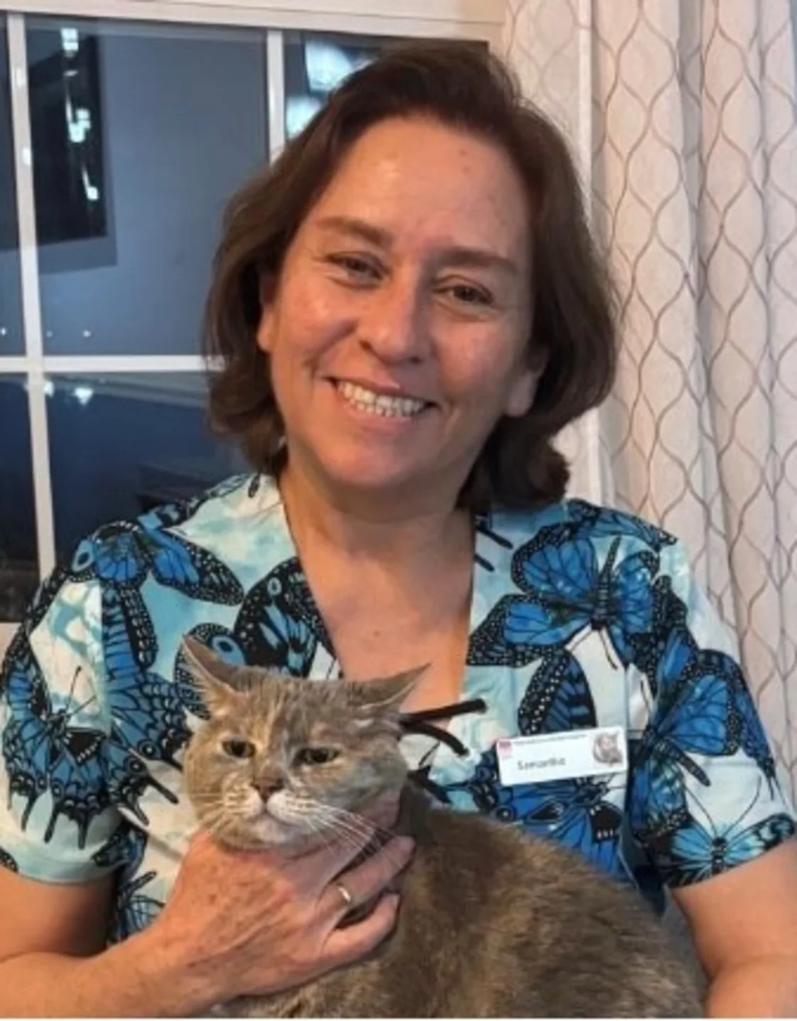 New Baltimore Animal Hospital Samantha New Baltimore Animal Hospital Samantha