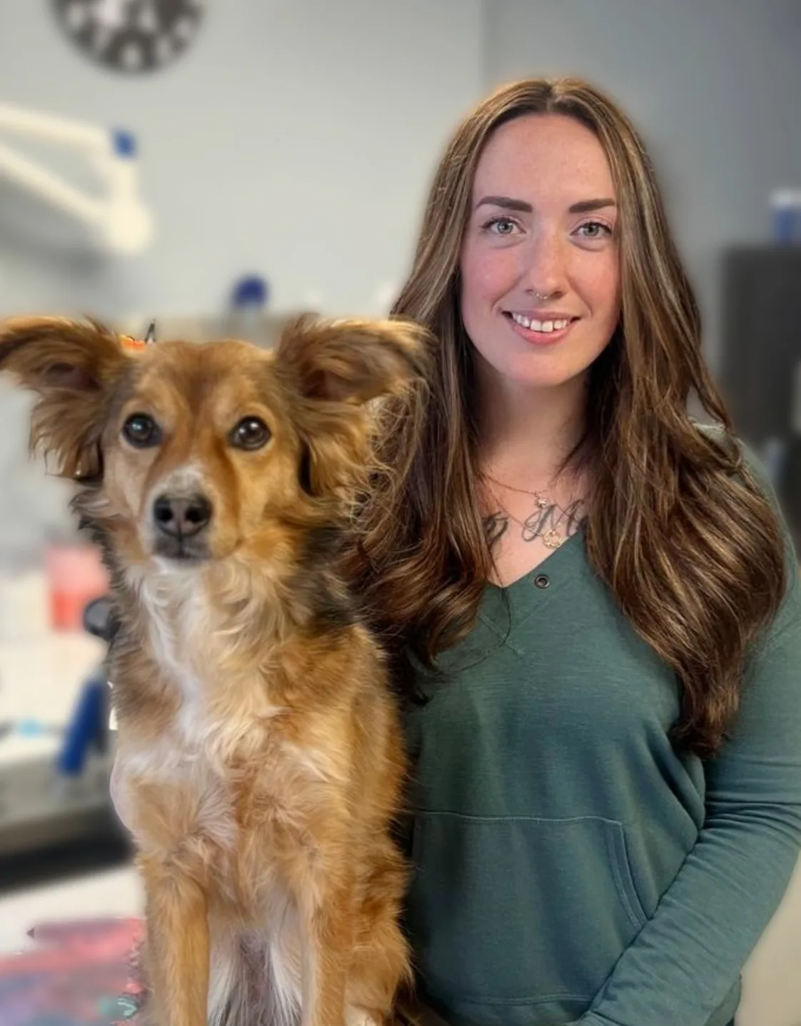 pencil puppy pencil puppy