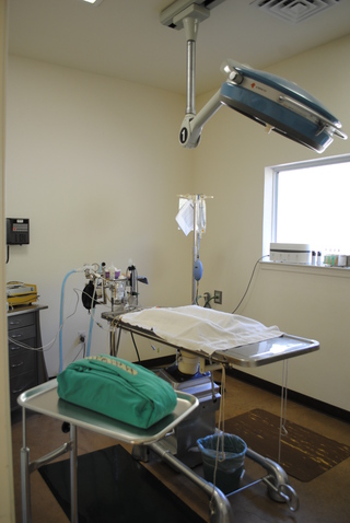Westside Pet Hospital Operation Area