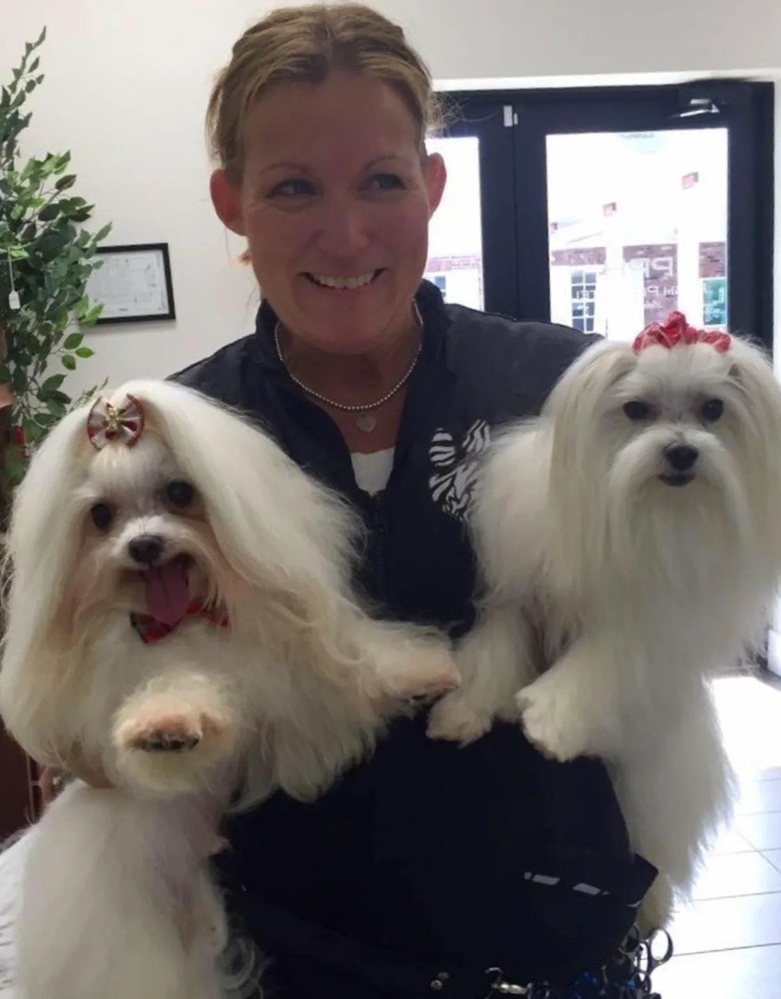Lori holding two white dogs with bows Lori holding two white dogs with bows