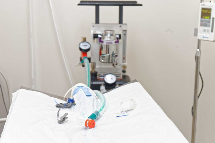 Bed with Sleeping Mask at Sherwood Veterinary Clinic