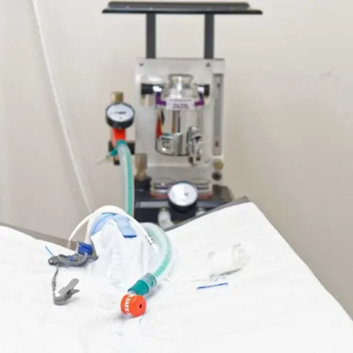 Bed with Sleeping Mask at Sherwood Veterinary Clinic Bed with Sleeping Mask at Sherwood Veterinary Clinic