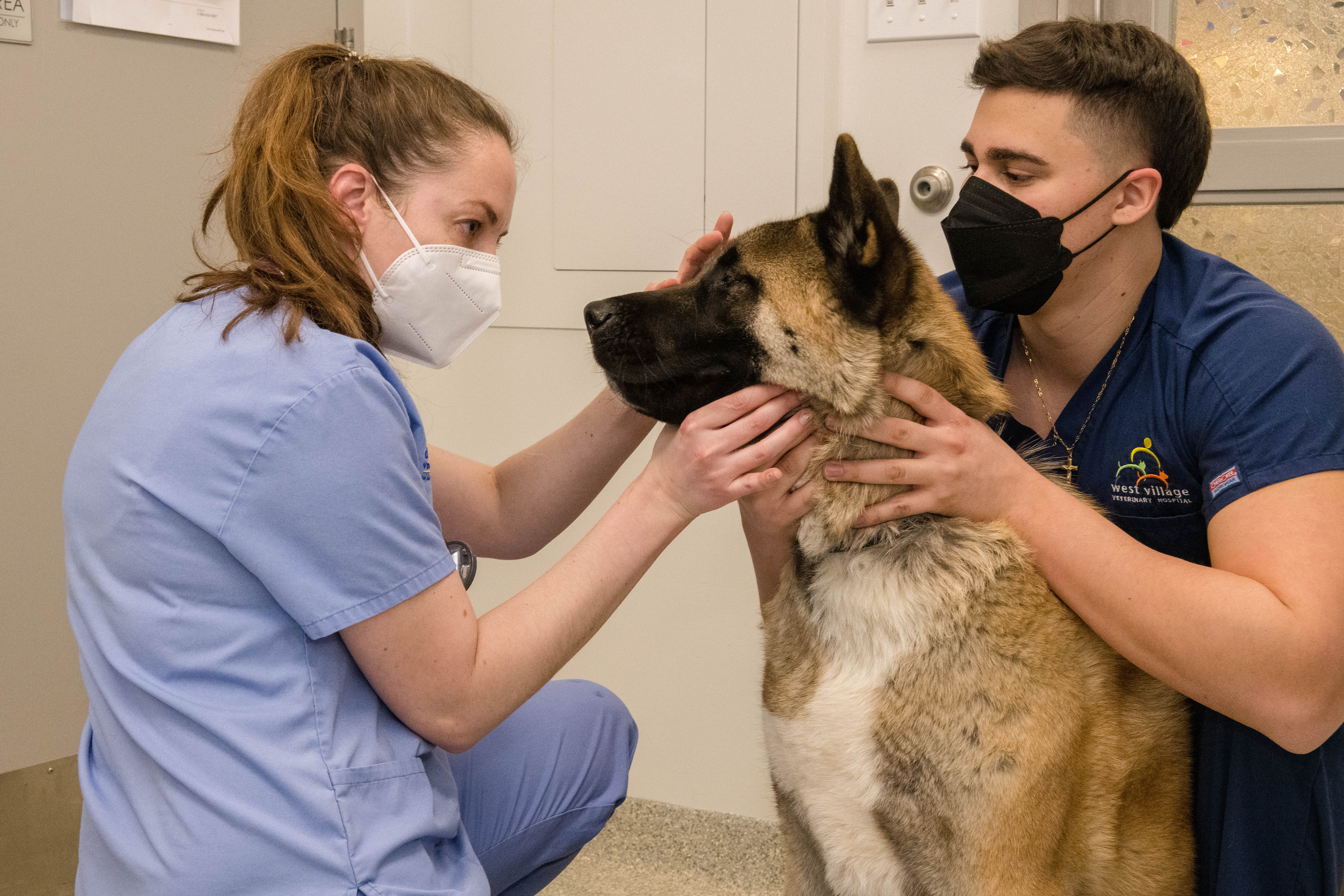 Doctor examining patient